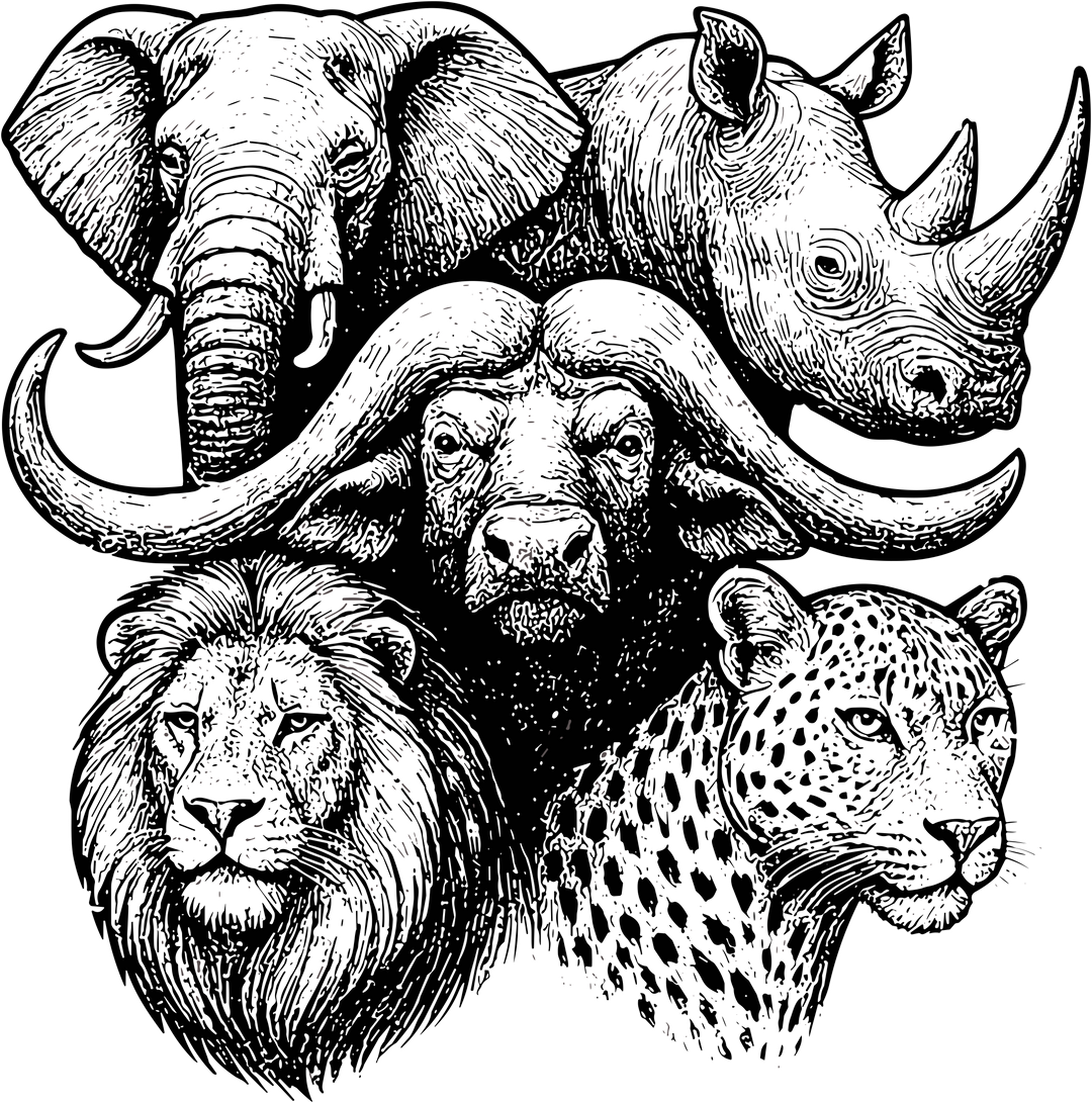 Safari Animals Collage B&W - Animals DTF Transfers