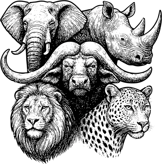 Safari Animals Collage B&W - Animals DTF Transfers