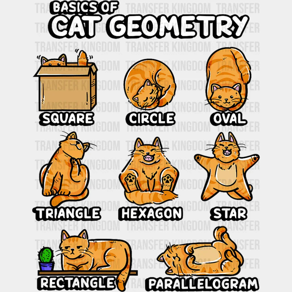 Basics Of Cat Geometry - Cats DTF Transfer