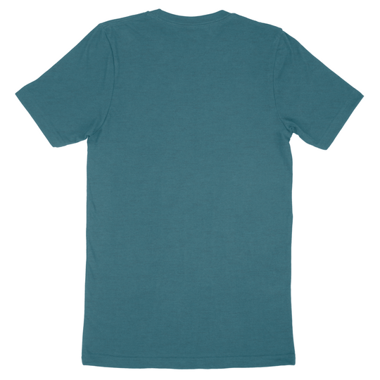 Custom Bella + Canvas Adult T-Shirt 3001