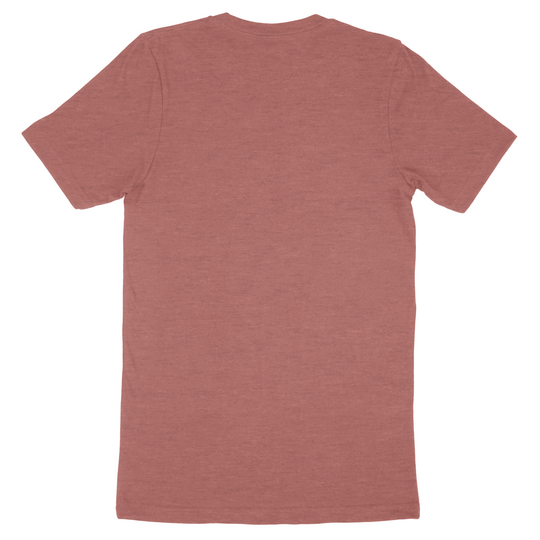 Custom Bella + Canvas Adult T-Shirt 3001