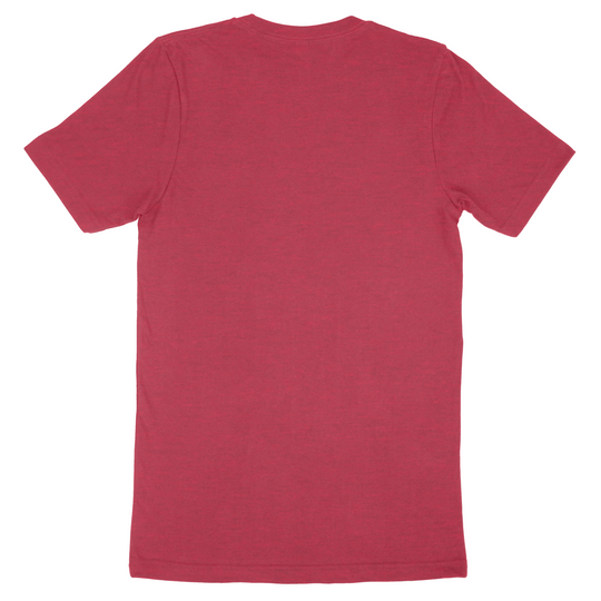 Custom Bella + Canvas Adult T-Shirt 3001