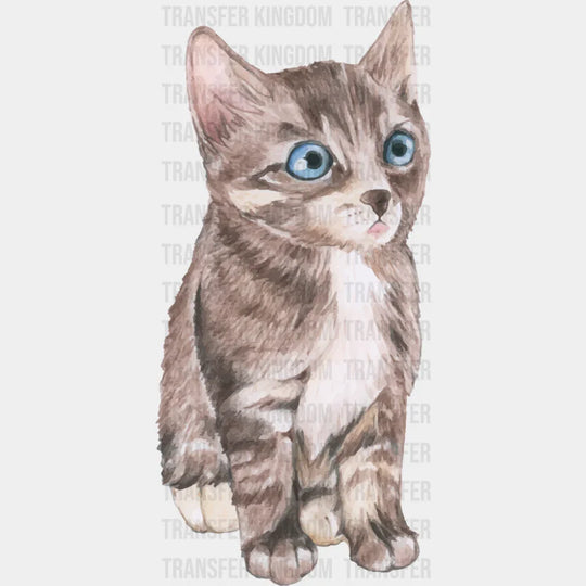 Blue Eyed Cat - Cats DTF Transfer