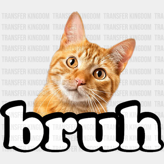 Bruh Orange Tabby Cat - Cats DTF Transfer