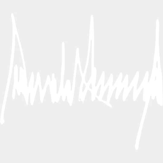 Donald Trump Signature - Trump DTF Transfer Adult Unisex - S & M (10’’) / Light Color Design (See Imaging)