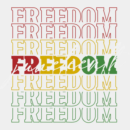 Freedom Juneetenth - Juneteenth DTF Transfer Adult Unisex - S & M (10’’) / Light Color Design (See Imaging)