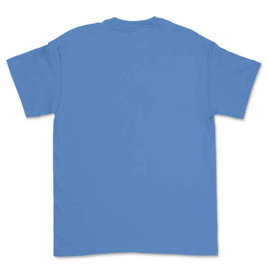 100 Custom T-shirts Bundle