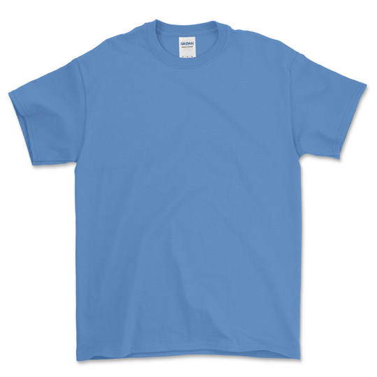 100 Custom T-shirts Bundle