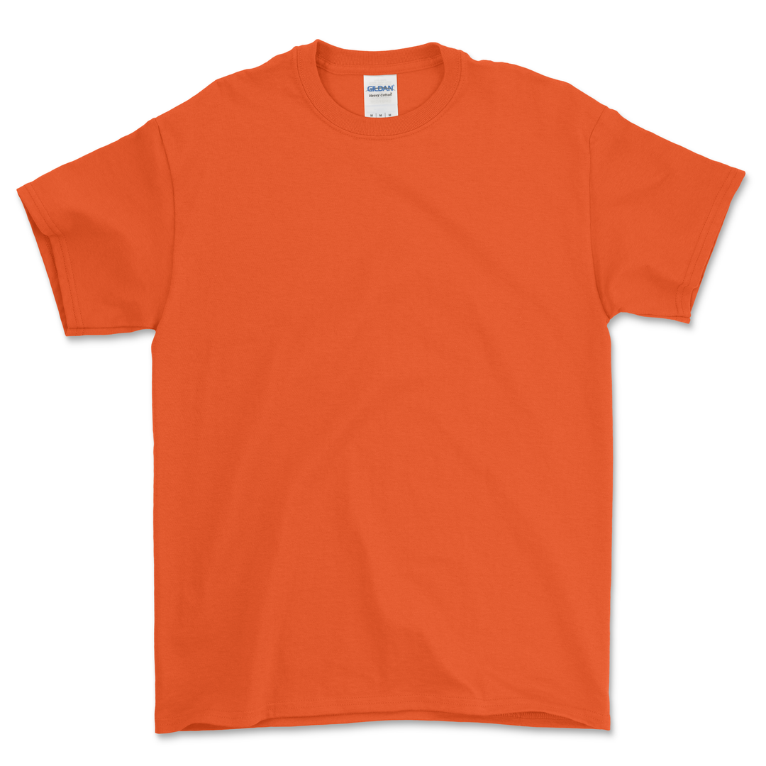 100 Custom T-shirts Bundle