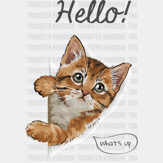 Hello What’s Up - Cats DTF Transfer