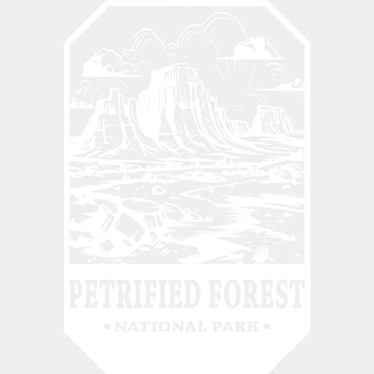 Petrified Forest National Park Design - Parks Dtf Transfers Unisex S & M (10’) / Light Color See
