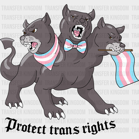 Protect Trans Rights - Transgender DTF Transfers transfer-kingdom Dark Color Design (See Imaging)