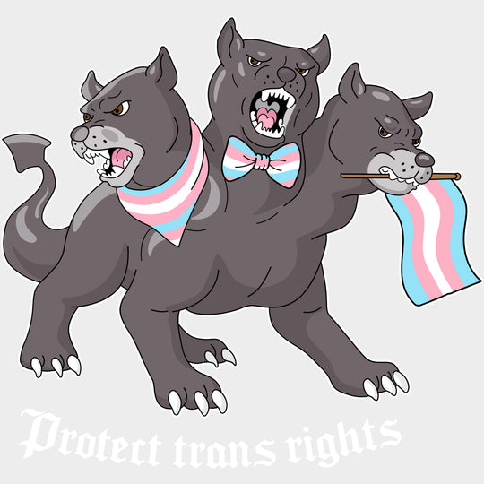 Protect Trans Rights - Transgender DTF Transfers transfer-kingdom Light Color Design (See Imaging)