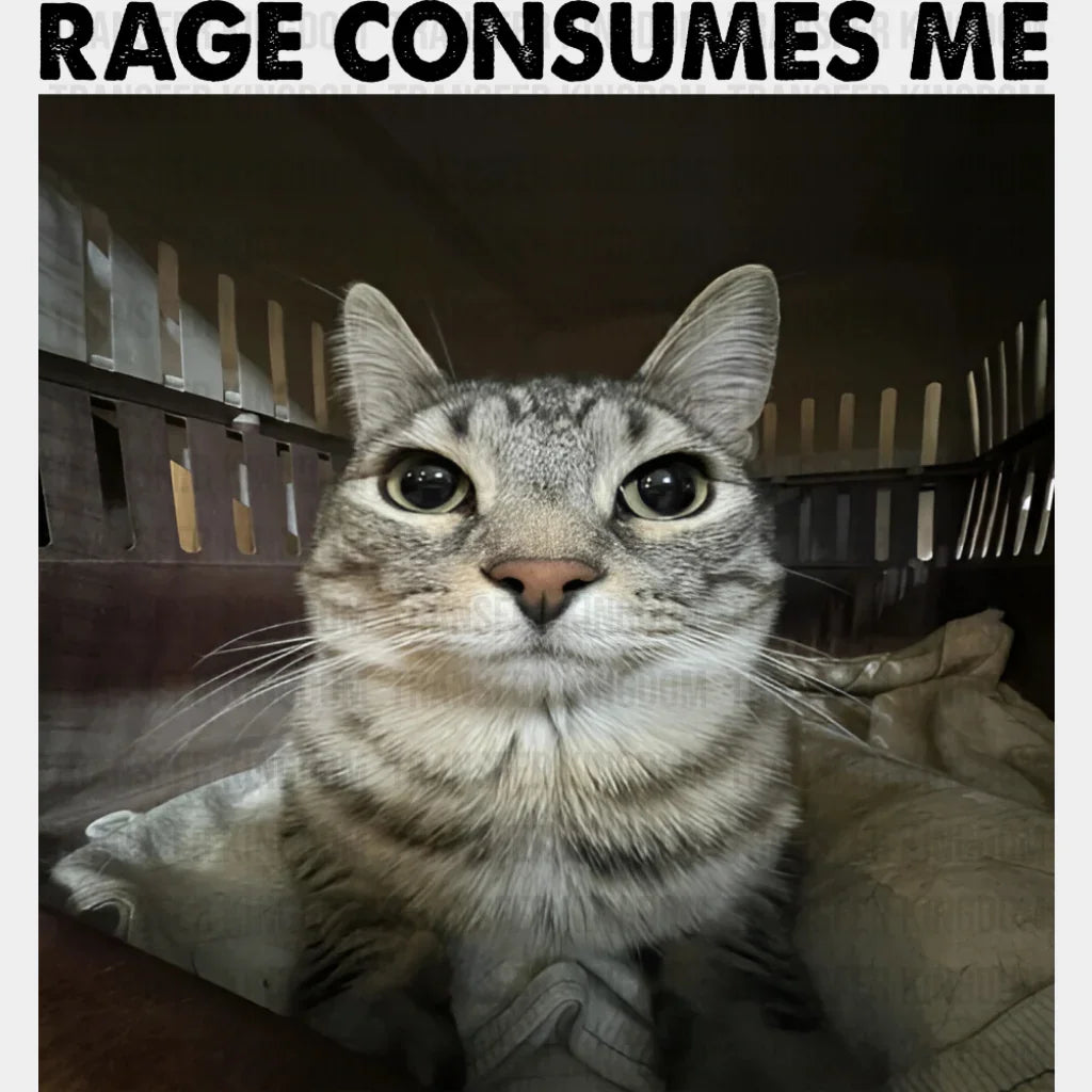 Rage Consumes Me Cat - Funny DTF Transfer Adult Unisex - S & M (10’’) / Dark Color Design (See Imaging)