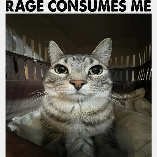 Rage Consumes Me Cat - Funny DTF Transfer Adult Unisex - S & M (10’’) / Dark Color Design (See Imaging)