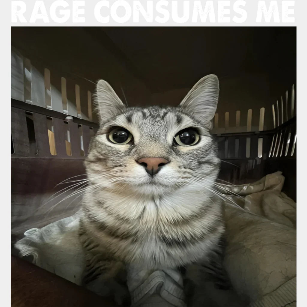 Rage Consumes Me Cat - Funny DTF Transfer Adult Unisex - S & M (10’’) / Light Color Design (See Imaging)