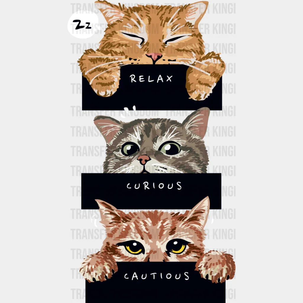 Relax Curious Cautious - Cats DTF Transfer