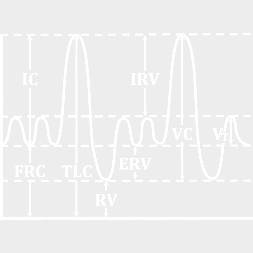 Spirometry B&W - CRNA Nurse DTF Transfers Adult Unisex - S & M (10’’) / Light Color Design (See Imaging)