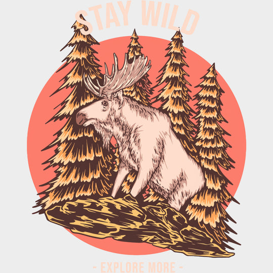 Stay Wild Explore More - Hiking DTF Transfers Adult Unisex - S & M (10’’) / Light Color Design (See Imaging)