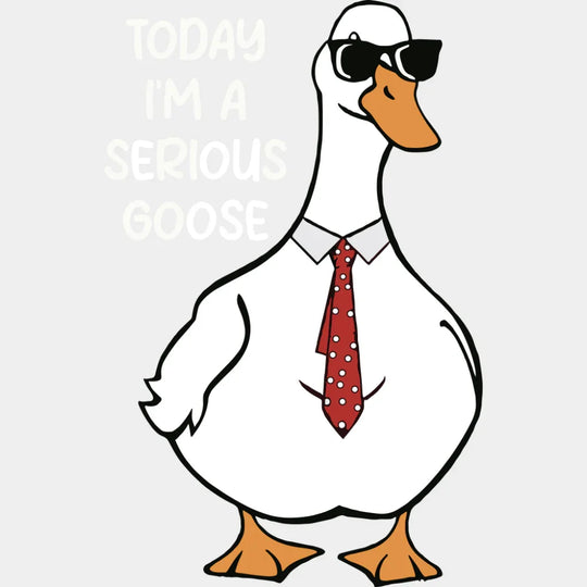 Today I’m A Serious Goose - Funny DTF Transfer Adult Unisex - S & M (10’’) / Light Color Design (See Imaging)