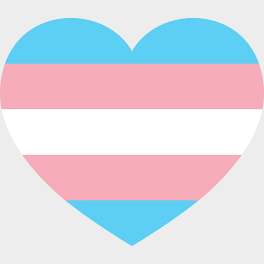 Transgender Flag Heart - Transgender DTF Transfers transfer-kingdom Light Color Design (See Imaging)