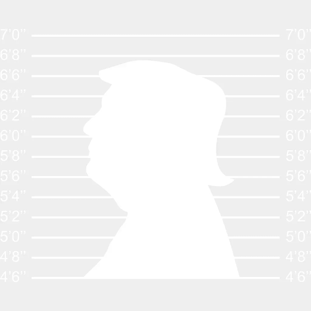 Trump Mug Shot Silhouette Election Dtf Transfer Unisex - S & M (10’) / Light Color Design See