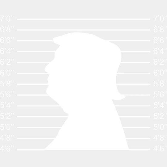 Trump Mug Shot Silhouette Election Dtf Transfer Unisex - S & M (10’) / Light Color Design See