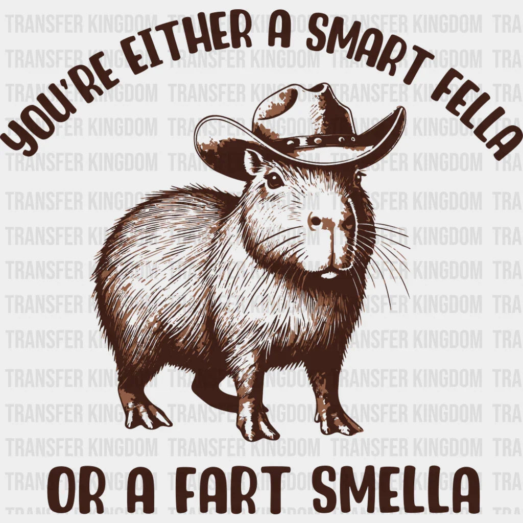 You’re Either A Smart Fella Or A Fart Smella - Funny DTF Transfer Adult Unisex - S & M (10’’) / Dark Color Design (See