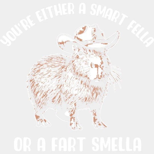 You’re Either A Smart Fella Or A Fart Smella - Funny DTF Transfer Adult Unisex - S & M (10’’) / Light Color Design (See